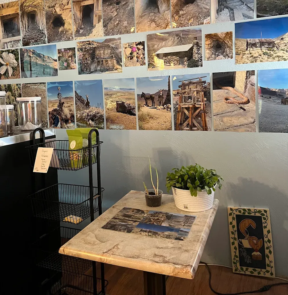 The Kit Fox Cafe